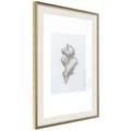 Miniatyrbild 9 av 11: Inramad Poster / Tavla - Ginger Rhizome