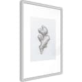 Miniatyrbild 1 av 11: Inramad Poster / Tavla - Ginger Rhizome