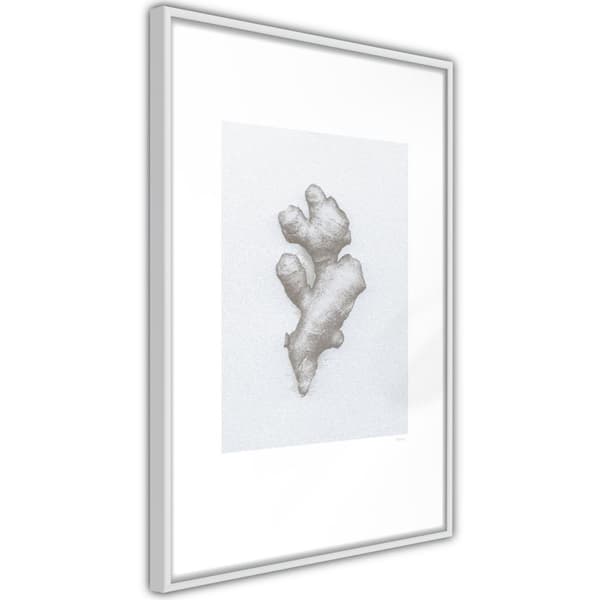 Inramad Poster / Tavla - Ginger Rhizome