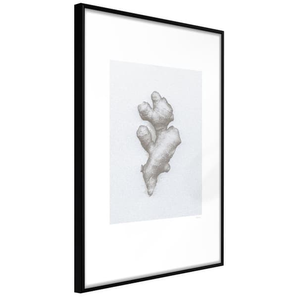 Inramad Poster / Tavla - Ginger Rhizome