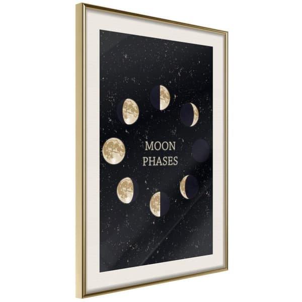 Inramad Poster / Tavla - In the Rhythm of the Moon