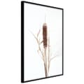 Miniatyrbild 1 av 11: Inramad Poster / Tavla - Typha