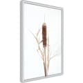 Miniatyrbild 8 av 11: Inramad Poster / Tavla - Typha