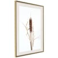 Miniatyrbild 9 av 11: Inramad Poster / Tavla - Typha