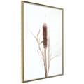 Miniatyrbild 1 av 11: Inramad Poster / Tavla - Typha