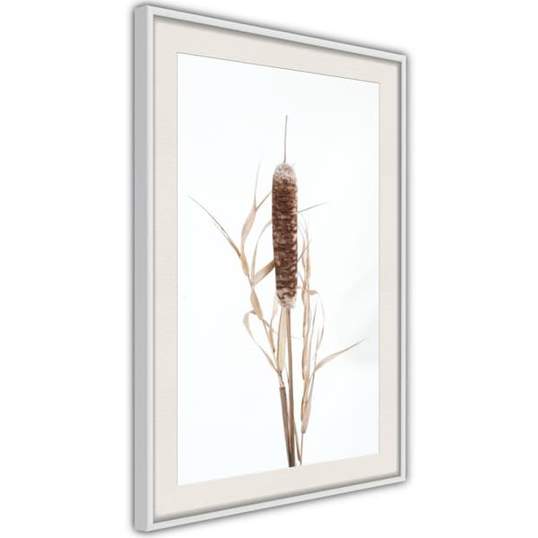 Inramad Poster / Tavla - Typha