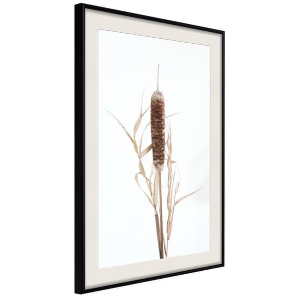 Inramad Poster / Tavla - Typha