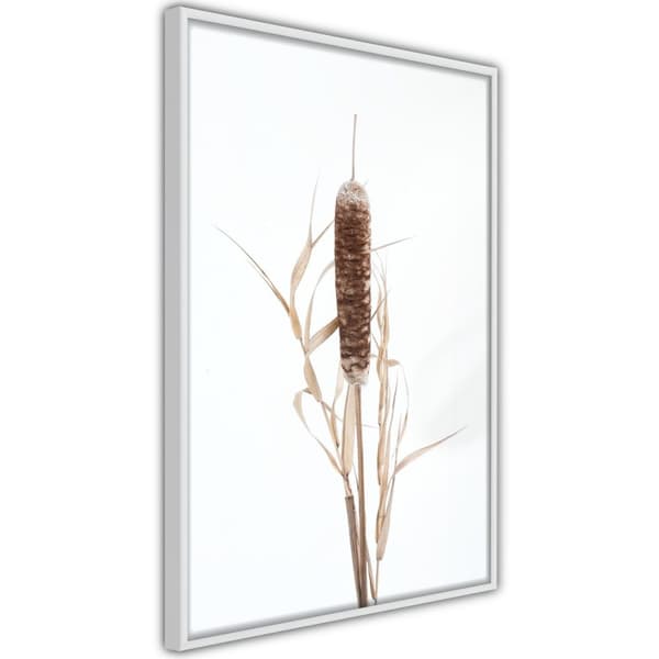 Inramad Poster / Tavla - Typha