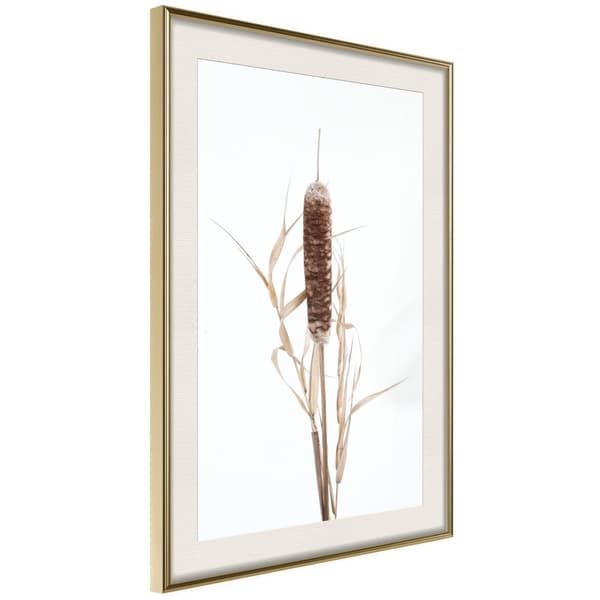 Inramad Poster / Tavla - Typha
