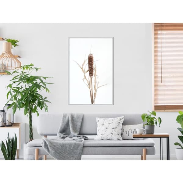 Inramad Poster / Tavla - Typha