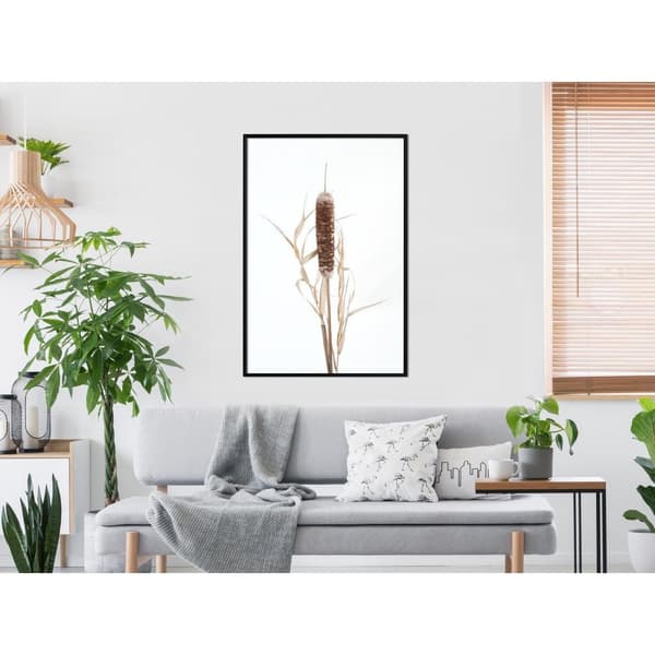 Inramad Poster / Tavla - Typha