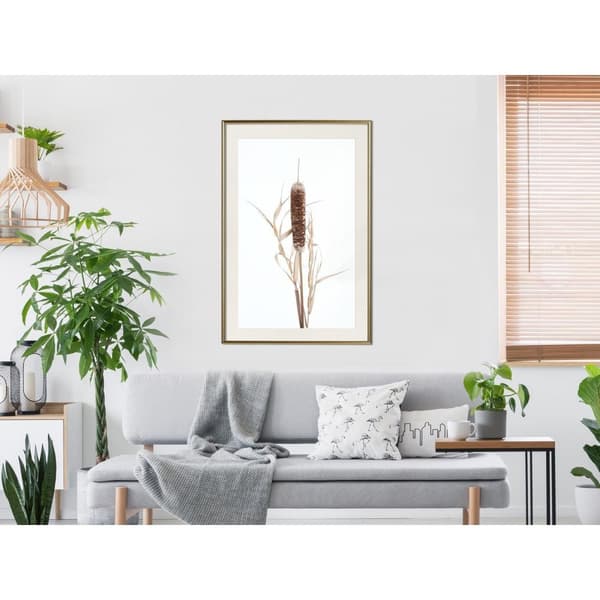 Inramad Poster / Tavla - Typha