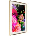 Miniatyrbild 1 av 11: Inramad Poster / Tavla - Suffocating Scent I