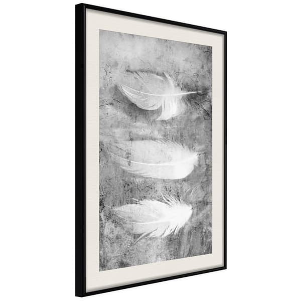 Inramad Poster / Tavla - Delicate Feathers