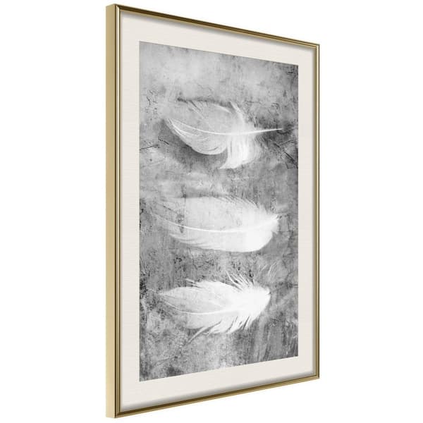 Inramad Poster / Tavla - Delicate Feathers