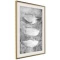 Miniatyrbild 9 av 11: Inramad Poster / Tavla - Delicate Feathers