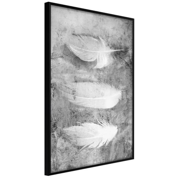 Inramad Poster / Tavla - Delicate Feathers Svart ram 30x45