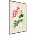 Miniatyrbild 10 av 11: Inramad Poster / Tavla - Romance II
