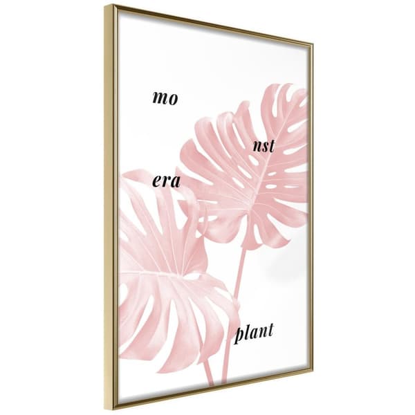 Inramad Poster / Tavla - Pale Pink Monstera