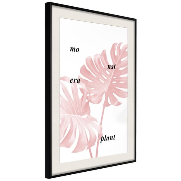Inramad Poster / Tavla - Pale Pink Monstera
