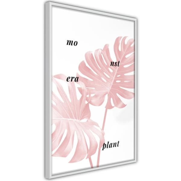 Inramad Poster / Tavla - Pale Pink Monstera