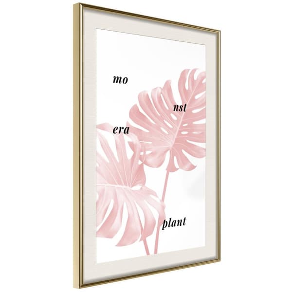 Inramad Poster / Tavla - Pale Pink Monstera