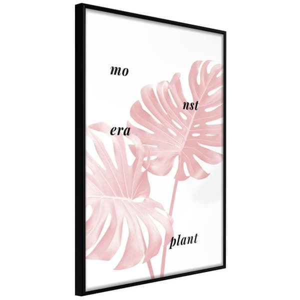 Inramad Poster / Tavla - Pale Pink Monstera Svart ram 40x60