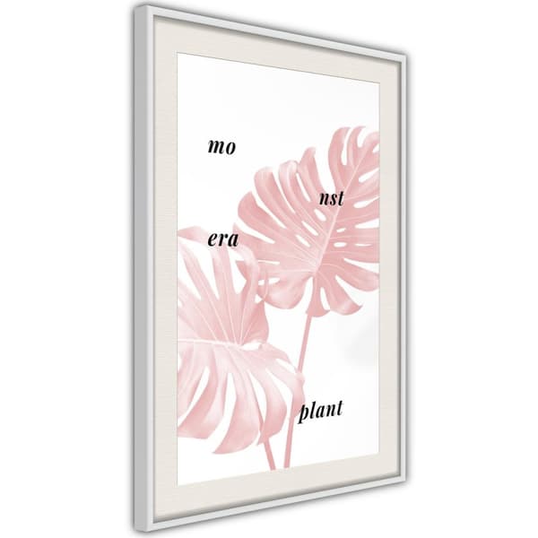 Inramad Poster / Tavla - Pale Pink Monstera
