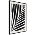 Miniatyrbild 5 av 11: Inramad Poster / Tavla - Black Palm