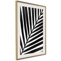 Miniatyrbild 10 av 11: Inramad Poster / Tavla - Black Palm