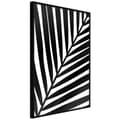 Miniatyrbild 2 av 11: Inramad Poster / Tavla - Black Palm