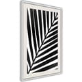 Miniatyrbild 1 av 11: Inramad Poster / Tavla - Black Palm