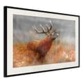 Miniatyrbild 4 av 11: Inramad Poster / Tavla - Rut