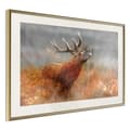 Miniatyrbild 9 av 11: Inramad Poster / Tavla - Rut