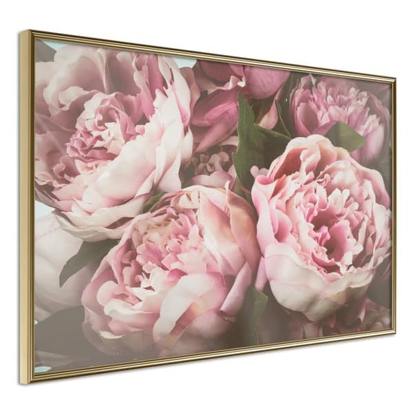 Inramad Poster / Tavla - Pastel Peonies