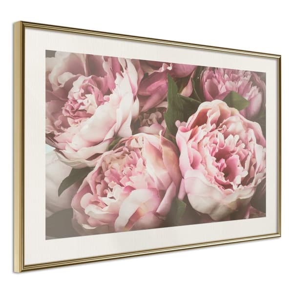 Inramad Poster / Tavla - Pastel Peonies