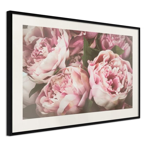 Inramad Poster / Tavla - Pastel Peonies Svart ram med passepartout 45x30
