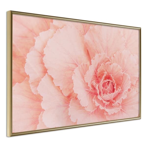 Inramad Poster / Tavla - Delicate Petals