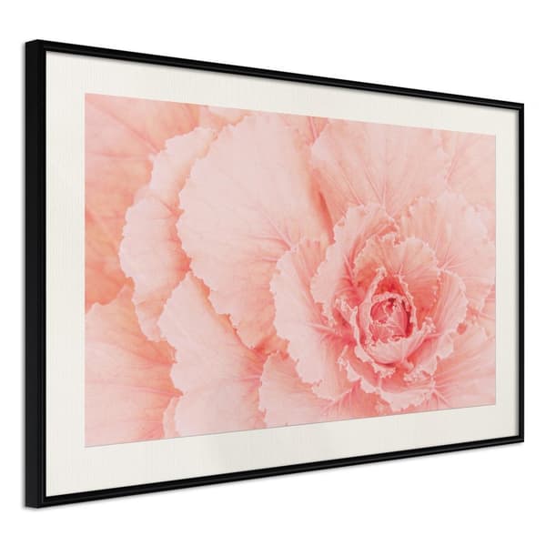 Inramad Poster / Tavla - Delicate Petals