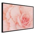 Miniatyrbild 1 av 11: Inramad Poster / Tavla - Delicate Petals