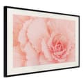 Miniatyrbild 4 av 11: Inramad Poster / Tavla - Delicate Petals