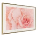 Miniatyrbild 9 av 11: Inramad Poster / Tavla - Delicate Petals