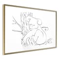 Miniatyrbild 1 av 11: Inramad Poster / Tavla - Resting Koala