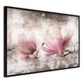Miniatyrbild 1 av 11: Inramad Poster / Tavla - Picked Magnolias