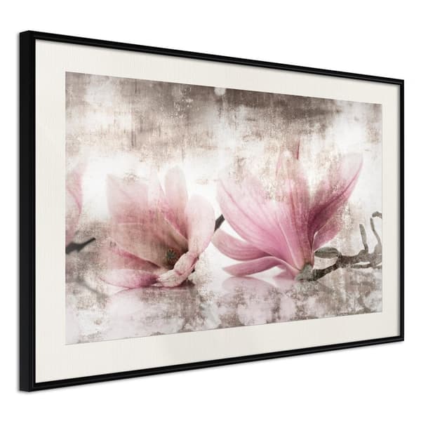 Inramad Poster / Tavla - Picked Magnolias