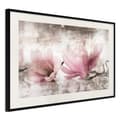 Miniatyrbild 4 av 11: Inramad Poster / Tavla - Picked Magnolias