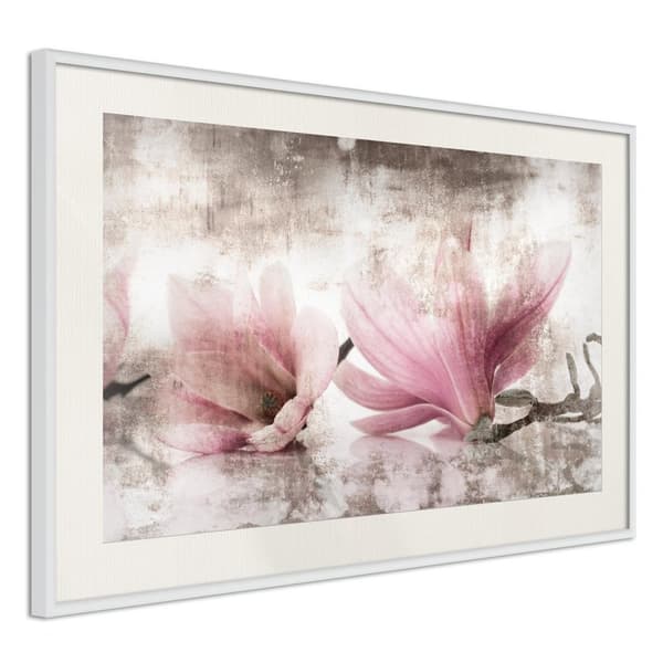 Inramad Poster / Tavla - Picked Magnolias