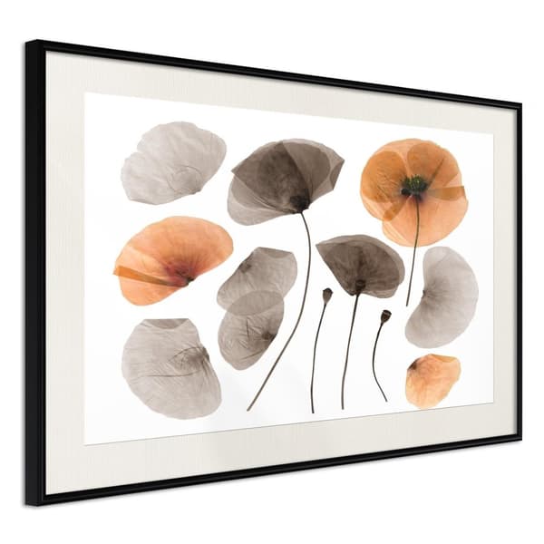 Inramad Poster / Tavla - Dried Poppies