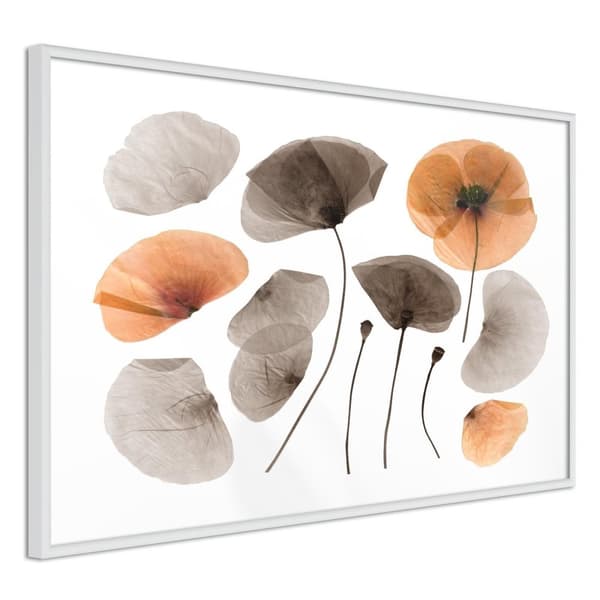 Inramad Poster / Tavla - Dried Poppies