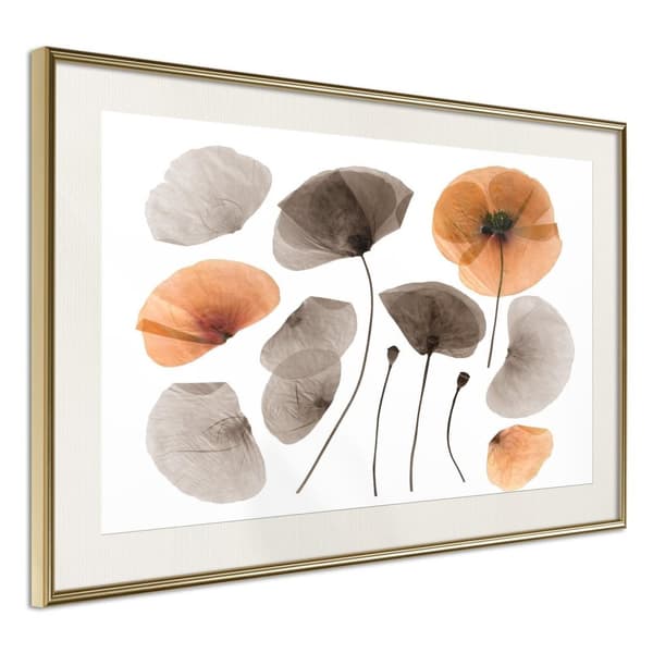 Inramad Poster / Tavla - Dried Poppies